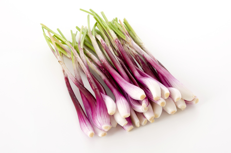 Shallots Koshino Redの写真素材