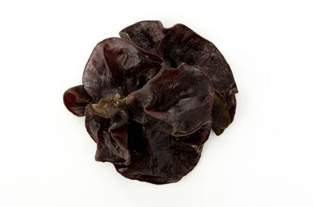 Jew's ear mushroom on white background