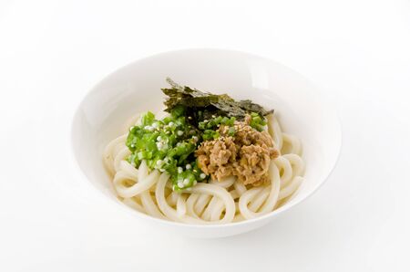 Japanese food, Hiyashi udonの写真素材