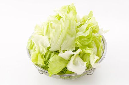 Cutting lettuce in the Stainless Steel Colander. Close up green lettuce prepare for cooking.の写真素材