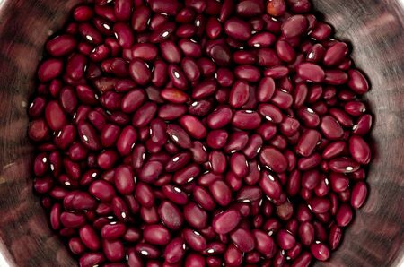 fresh red kidney beans in a stainless steel bowl