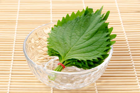 Fresh Green Shiso (perilla frutescens)  or Oba leaf in a small transparent glass round bowl on a bamboo rolling mat.の写真素材