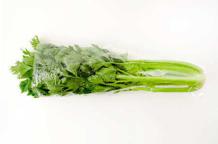 Fresh celery of Wrapped in wrap on white background