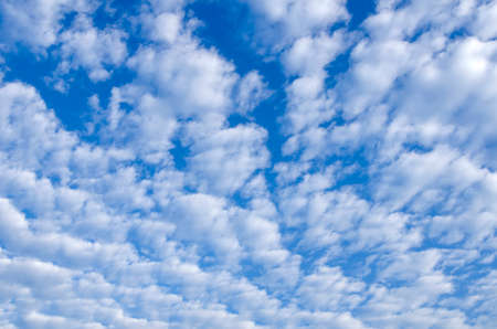 Blue sky with white clouds. Cirrocumulus. nature background