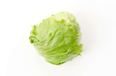 Green iceberg lettuce on white backgroundの写真素材