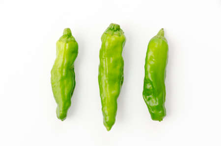 Shishito green pepper on white backgroundの写真素材