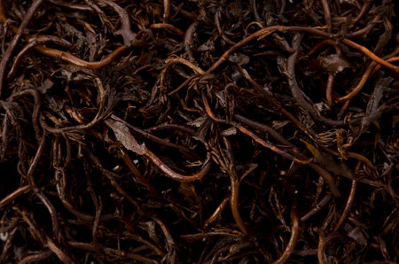 Hijiki seaweed background