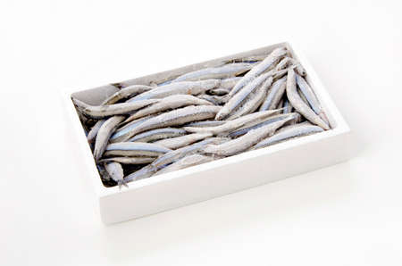 Silver-stripe round herring (frozen)の写真素材