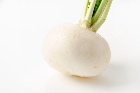 Japanese White Turnip on white backgroundの写真素材