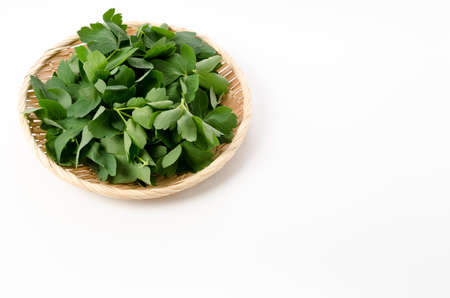 chomeiso (Peucedanum japonicum) on bamboo sieve on white backgroundの写真素材