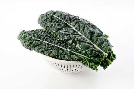 Black cabbage on white background