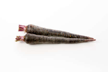 Black carrot on white backgroundの写真素材