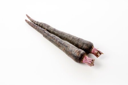 Black carrot on white backgroundの写真素材