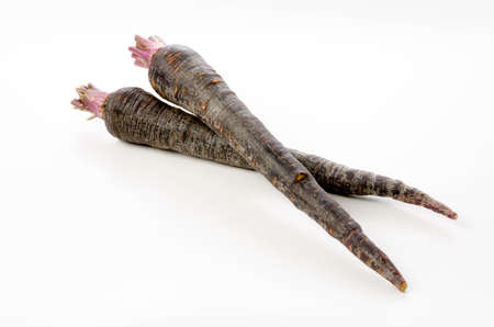 Black carrot on white backgroundの写真素材