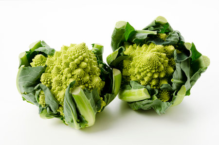 Romanesco broccoli or Roman cauliflowerの写真素材