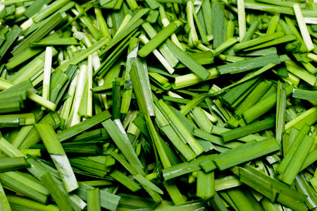 Close up Chopped garlic chivesの写真素材