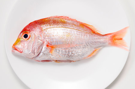 Yellowback seabream on a plateの写真素材