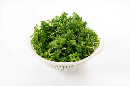 Pile of fresh parsley in the Plastic white Colanderの写真素材