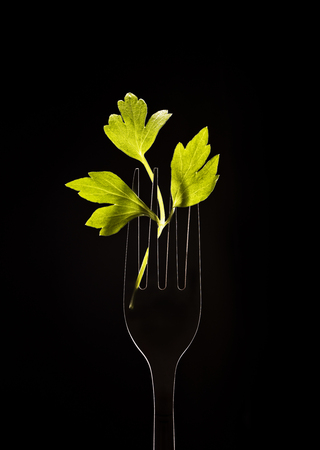 Fork with parsley on a black background.の写真素材