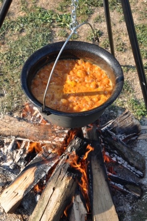 Gulaschの写真素材