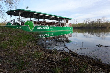 KopaÄki rit Swamp Baranja Baranya Slavonija Slavonia Osijek Park Nature Naturalの写真素材