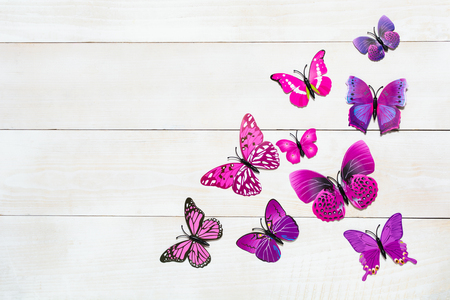 Butterfly decoration on the white wooden backgroundの写真素材