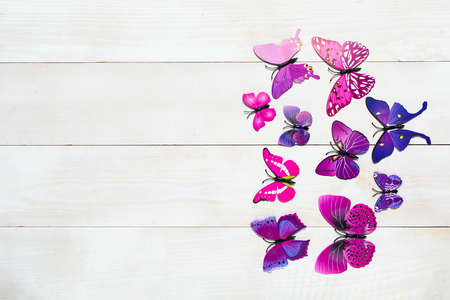 Butterfly decoration on the white wooden backgroundの写真素材