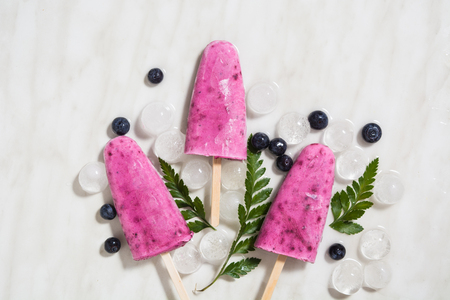 Homemade lolly with yogurt, banana, honey and blueberryの写真素材
