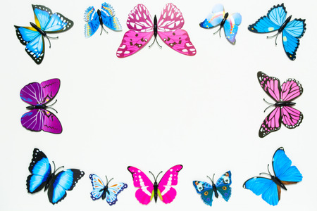 Blue and pink butterfly frame decoration on white background with copy space in centerの写真素材