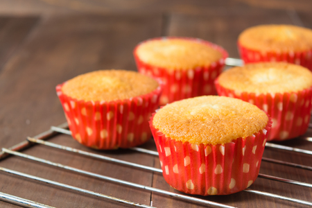 Cupcakes ready for decoration in red paper form on baking pan on brown wooden tableの写真素材