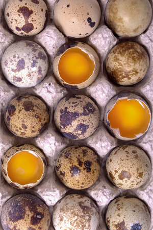 Raw quail eggs on the paper container with three open eggsの写真素材