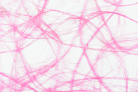 Pink package for flower on white backgroundの写真素材