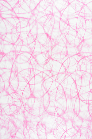 Pink package for flower on white backgroundの写真素材