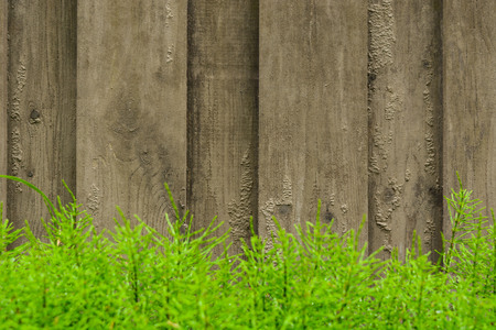 Wooden background with blured plants in the foreground, selective focus, copy spaceの写真素材