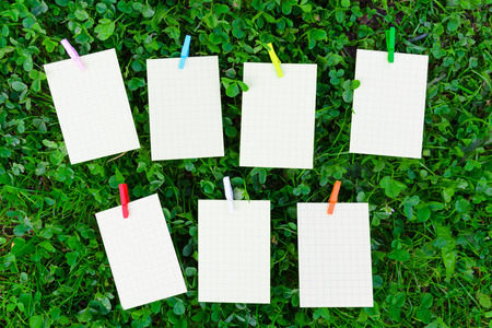 Weekly schedule on grass with empty paper and wooden colorful pins, school plan conceptの写真素材
