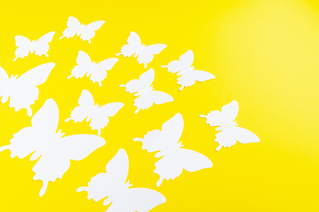 White butterfly over yellow paper background with copy spaceの写真素材