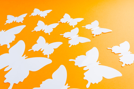 White butterfly over orange paper background with copy space and selective focusの写真素材