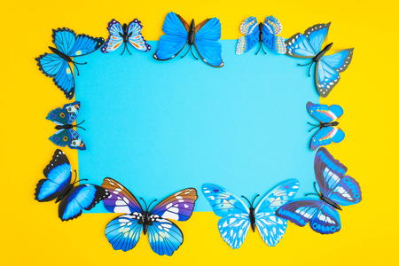 Blue paper in center with blue butterfly on yellow background with copy space, top viewの写真素材