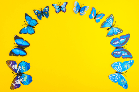 Blue butterfly on yellow background with copy space, top viewの写真素材