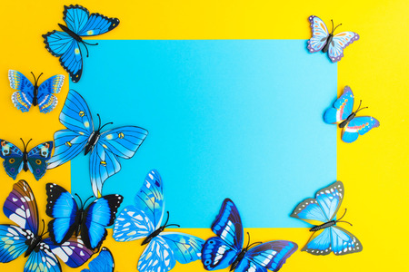Blue paper with butterfly decoration on yellow background with copy space, top viewの写真素材