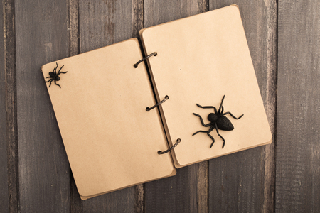 Empty notebook with halloween decoration over wooden background with copy space, top viewの写真素材