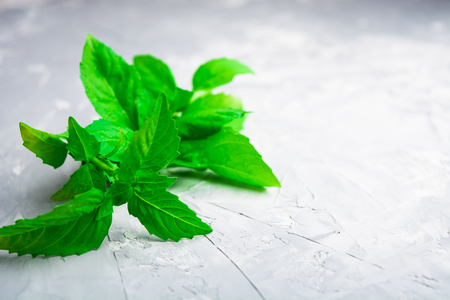 Closeup view of green italian basil over rude backgroundの写真素材