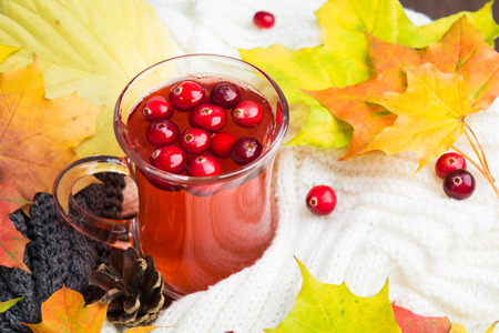 Autumn hot beverage of red cranberriesの写真素材