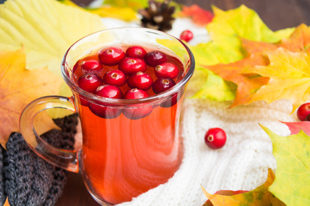 Red cranberry beverage in cup with warm clothes and autumn leaves on backgroundの写真素材