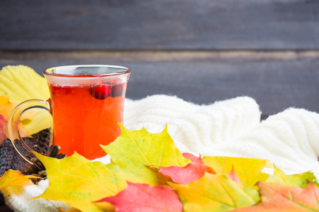 Autumn concept with cranberry beverage, warm clothes and leaves on wooden background with copy spaceの写真素材