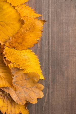 Yellow old dirty leaves design with copy space over wooden table, autumn concept, vertical shotの写真素材