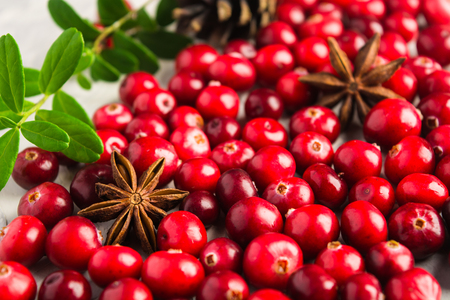 Closeup view of cranberry and star anise over grey background, selective focusの写真素材