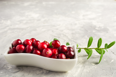 Fresh cranberry in white saucepan over grey cement background with copy space, selective focusの写真素材
