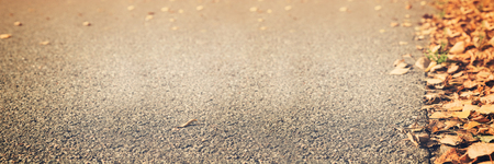 Autumn concept background banner with dry leaves with copy space, selective focusの写真素材