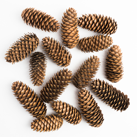 Pine cones over white background, flat lay, square shotの写真素材